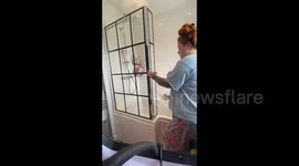 Woman upcycles her shower screen with neat DIY hack