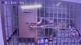 Thai prisoners escape by picking cell lock with a PAPERCLIP