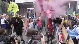 pink smoke and a pink cows head animal rebellion 28 august 2021