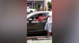 Pet family comes home after vet visit