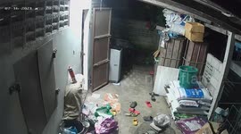 Heart-stopping moment woman accidentally steps on live COBRA