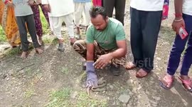 Snake coils itself around man's leg, gets rescued in central India