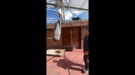 movimiento muscular de brazos durante una pelea o entrenamiento