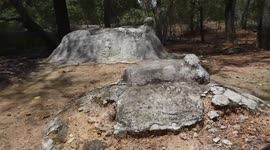 A Grand Father in South India lives amidst the final resting place of his beloved dogs