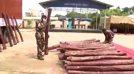 Red sandalwood logs worth $ 2,05,327 seized in southern India