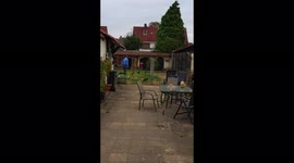 Rooster attacks bf while i film