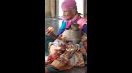 Adamant little monkey in south India refuses to share the cotton candy with its granny
