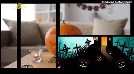 Check Out These Zoo Animals Play With Their Spooky Halloween Treats