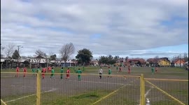 Paw-naldo: Amazing clip shows dog score goal after heading in from a set-piece