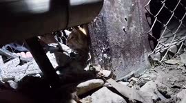 Kitten rescued after getting stuck under metal fence