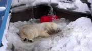temp