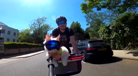 Meet Sigrid, the kitty who loves cycling around London from the comfort of her own personal basket