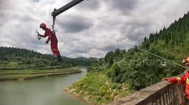 Chinese firefighters rescue little egret tangled mid-air in fishing line