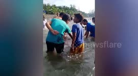 Injured sunfish rescued and returned to the ocean in southern Philippines