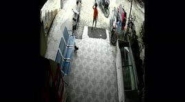 Indonesian boy almost got into accident just after disturbing relaxing cat