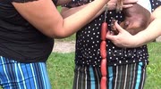 temp