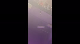 US: Cat Falls From Upper Deck Of Stadium, Saved By Fans With American Flag