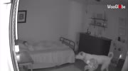 temp