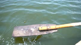 Best view of boat water and paddle in Yamuna river