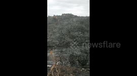 Scorched earth and charred trees after wildfire tears through Costa del Sol in Spain