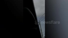 Shocking moment tree snake slithers on car’s rearview mirror