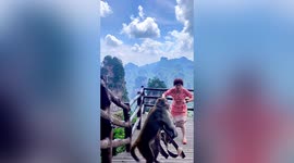 Monkey steals Chinese woman's bag as she dances in national park