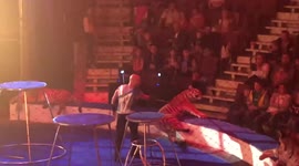 Horrifying moment circus tiger has seizure during performance in Russia