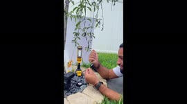 US based photographer Amthel Al-Dayni shows how he shoots ants