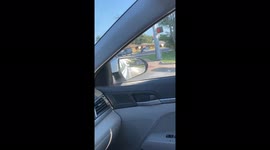 Pray mantis on my car mirror like it owns it.