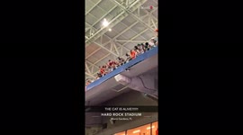 Here's another angle of viral cat rescue that has racked up 7 million views