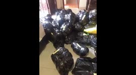 Daily work of Ariunzaya Gansvh