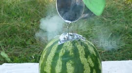 YouTuber attempts to fill watermelon with 2-kilos of molten lead