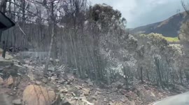 Charred forests in southern Spain after worst wildfire in decades