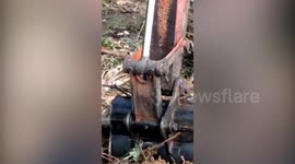 Workers catch giant 20ft-long python in Indonesia forest