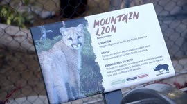 How These Zoo Exhibits Are Designed with the Animals' Welfare as a Top Priority