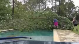 Houston Citiziens Repair The Damage Done By Huracaine Nicholas