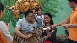 Controversial tiger zoo now facing closure after Covid-19 downturn