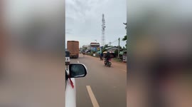 Escaped ostrich seen running along road in Cambodia