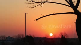 Country landscape. Sunset. Fixed background for video conferencing chroma.