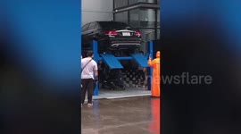 Shocked mechanics find python in car engine