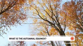 Autumnal Equinox marks beginning of fall