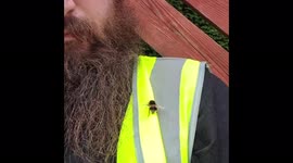 My new best friend :) He's so fluffy!!! Didn't want to get stung though