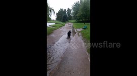 Cute dog running through the puddles in Minsk, Belarus