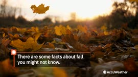 Facts about fall that you may not know