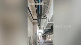 Hilarious moment pet cat with bulging tummy sleeps between two pipes