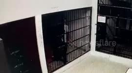 CCTV captures prisoner picking lock to escape from Thai jail cell