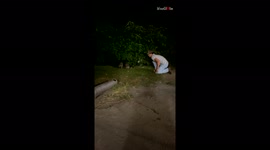 ''Ain’t no hood like brotherhood' Raccoon fearlessly attacks man troubling its brother '