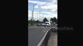 Swans crossing the road (Liverpool) bring traffic to a standstill [27/06/2015]