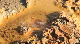 Mud volcanoes near  the Volcano Etna