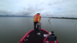 Quick-thinking fisherman jumps into water to escape hornet attack